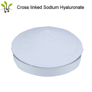 Bouliga Cross linked Sodium Hyaluronate powder 230Mda add to purified water could got dermal filler 