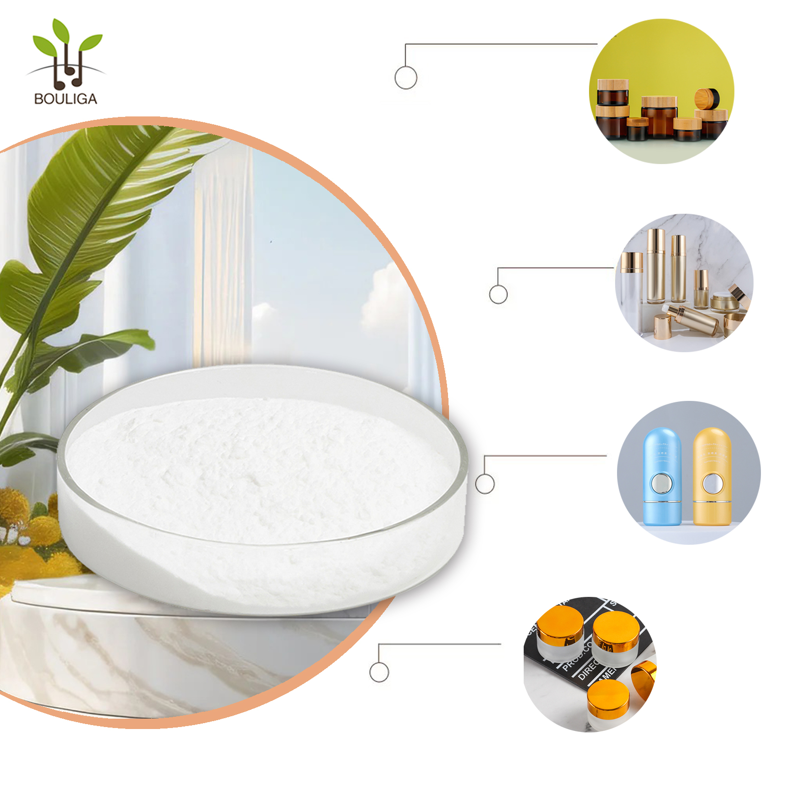Bouliga Hyaluronic Acid Sodium Powder Cosmetic Grade use for skincare 