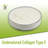 Undenatured Type II Collagen Repair And Regeneration of Joint Cartilage