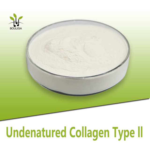 Undenatured Type II Collagen Repair And Regeneration of Joint Cartilage