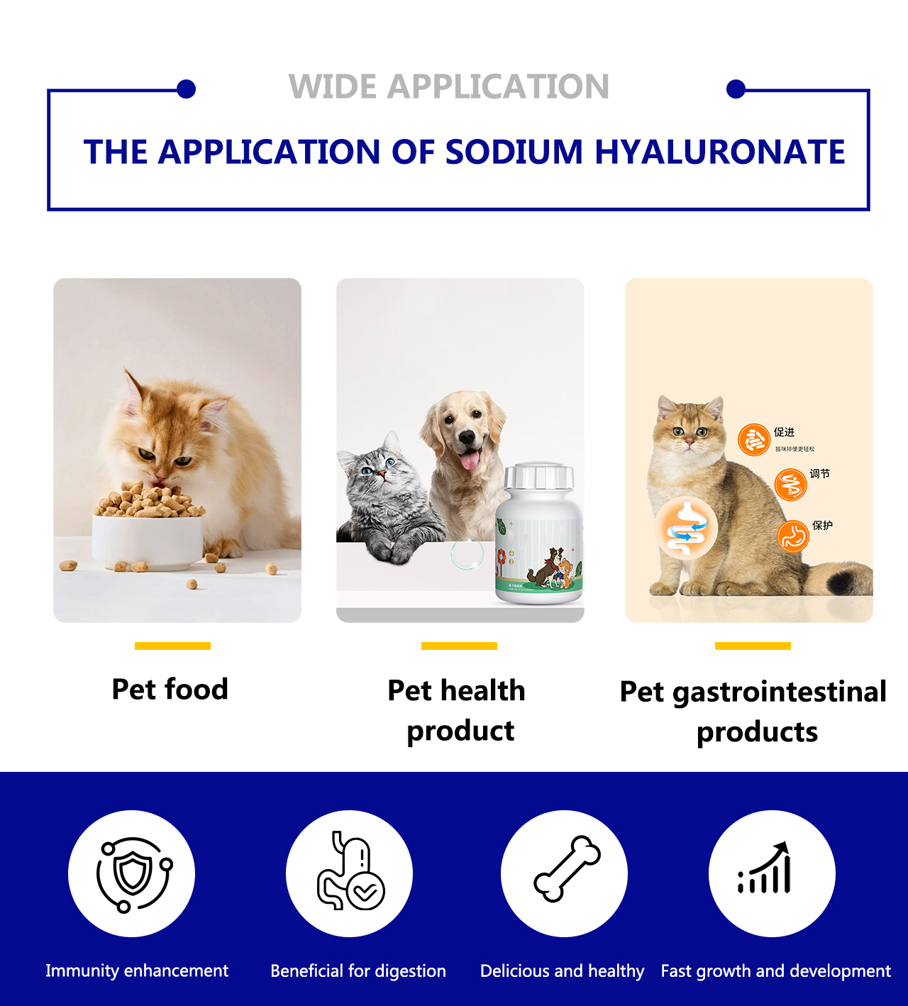 微信图片_20260402103710_1523_88