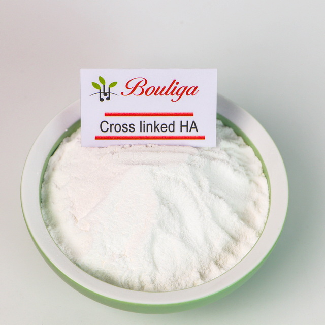 Bouliga Drug carrier Cross-linked HA Powder