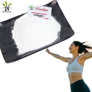 Hydrolyzed Type II Collagen