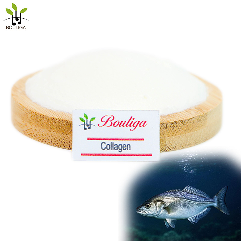Hydrolyzed Type II Collagen