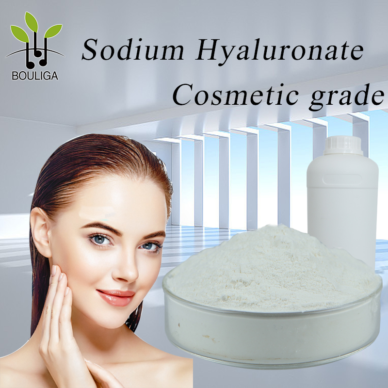 Bouliga Sodium Hyalutonate Cosmetic Grade Hyaluronic Acid Powder