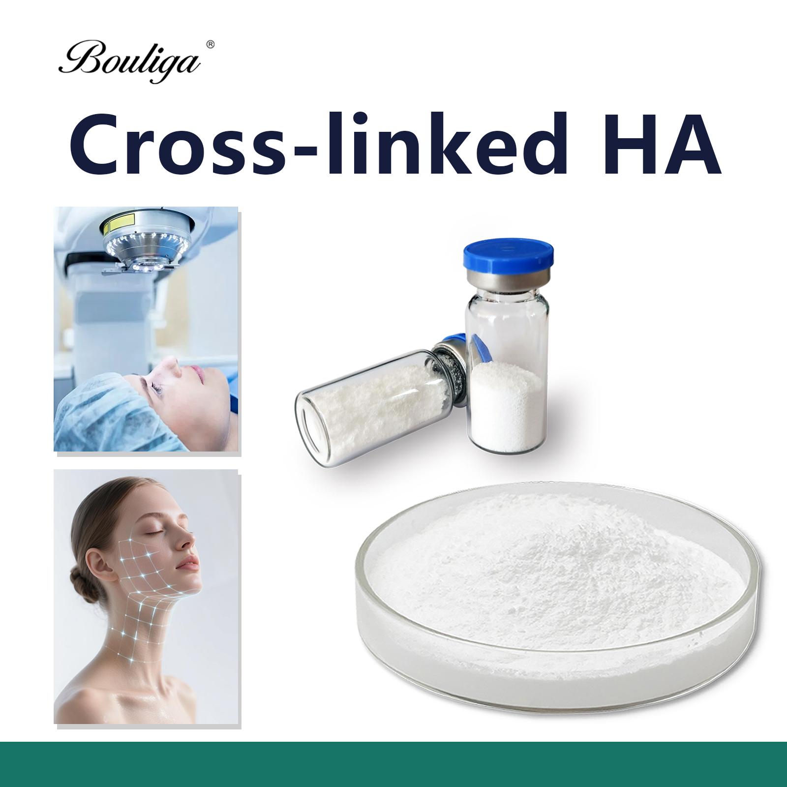Crosslineked Sodium Hyaluronate Powder 