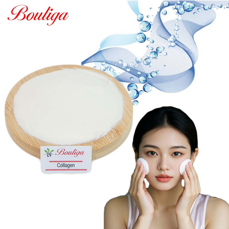 Hydrolyzed Type II Collagen