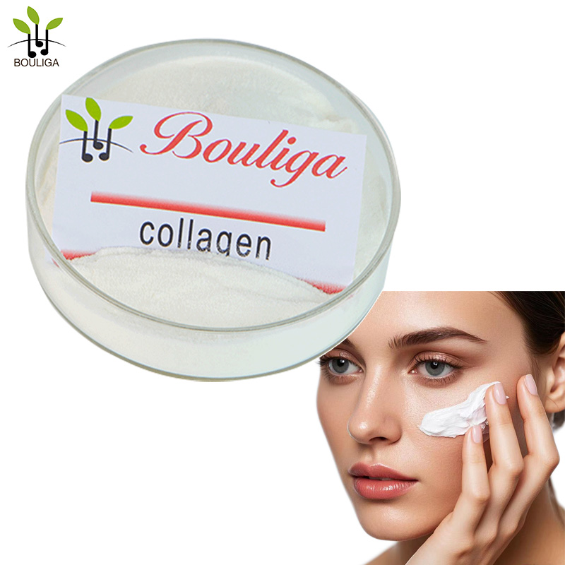 Hydrolyzed Type II Collagen