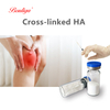Factory Supply Cross-lineked Hyaluronic Acid Powder 