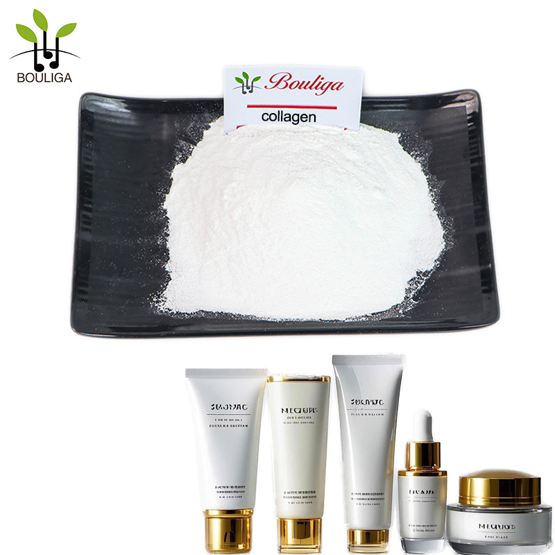Hydrolyzed Type II Collagen