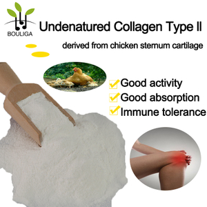 Bouliga Undenatured Collagen Type II 100% From Chicken Cartilage