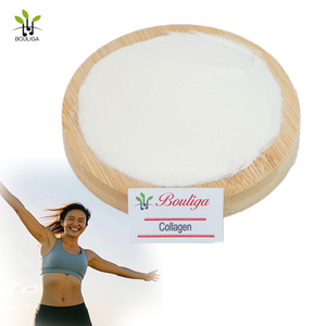 Hydrolyzed Type II Collagen