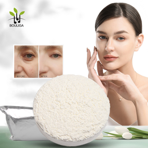 Nano Hyaluronic Acid Powder | 200-500nm Particle Size
