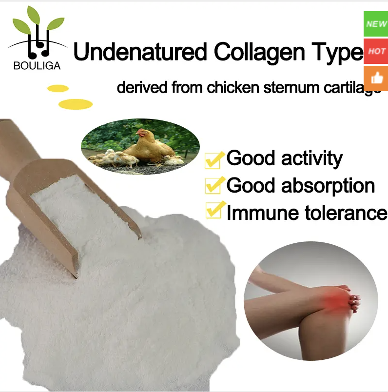Undenatured 100% Chicken Collagen Type II Joint Repair 