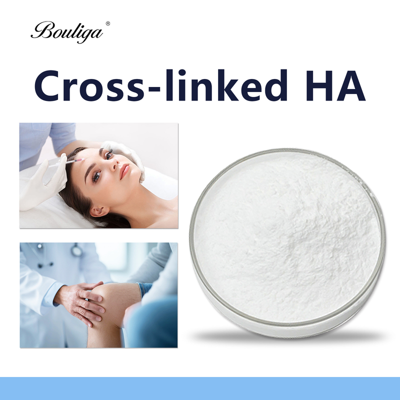 Crosslineked Sodium Hyaluronate Powder 