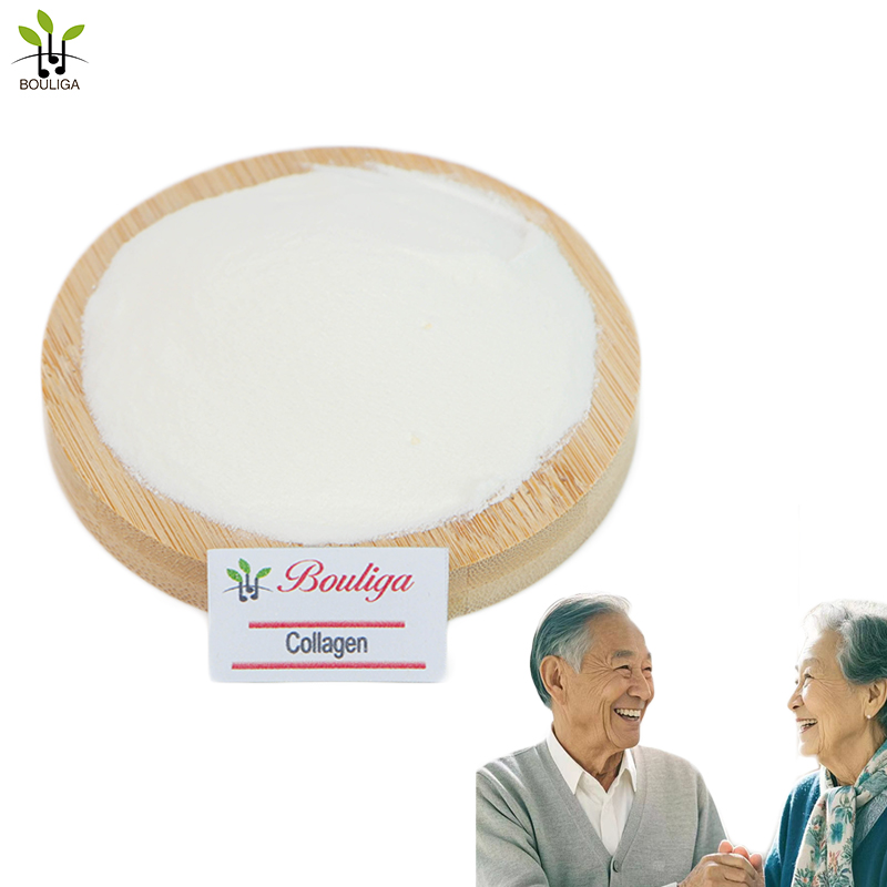 Hydrolyzed Type II Collagen