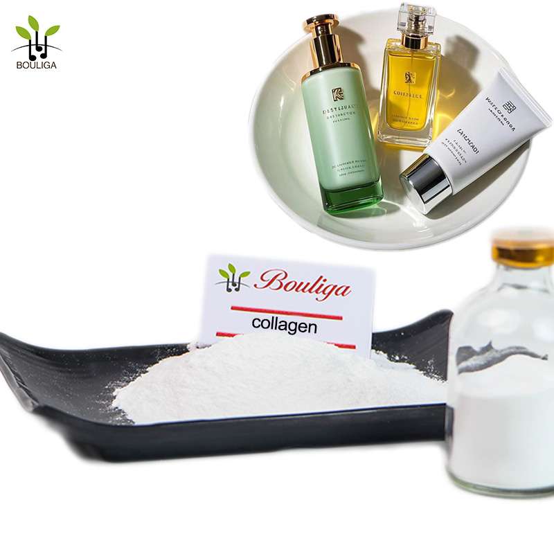 Hydrolyzed Type II Collagen