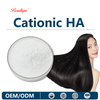 Cationic Sodium Hyaluronate Powder/Hyaluronate Powder.
