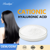 Cationic Sodium Hyaluronate Powder/Hyaluronate Powder.